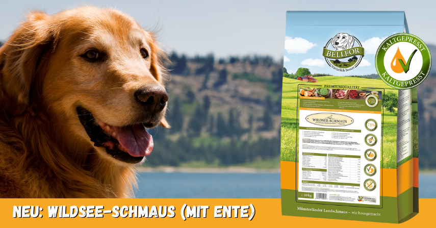 Wildsee-Schmaus Wildsee-Schmaus